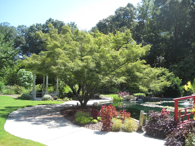 Image for Things To Do New Hanover County Arboretum
